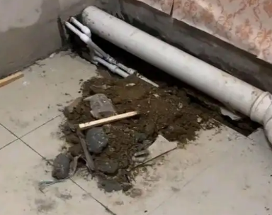 河源市卫生间漏水检测哪家好