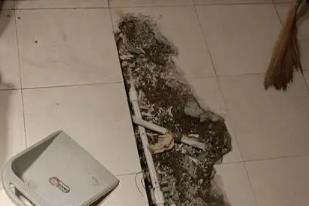 河源市卫生间漏水检测电话